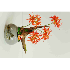 彼岸插花盆景