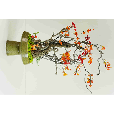 春意插花盆景