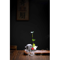 天鹅干冰花
