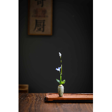 青鼎文兰
