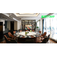 庐阳厅309